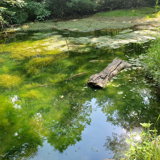 Nature Preserve «Fox Bluff Conservation Area», reviews and photos, Cold Springs Rd, Algonquin, IL 60102, USA