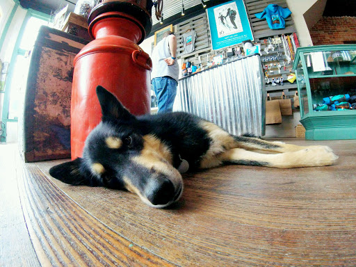 Outdoor Sports Store «Leadville Outdoors and Mountain Market», reviews and photos, 225 Harrison Ave, Leadville, CO 80461, USA