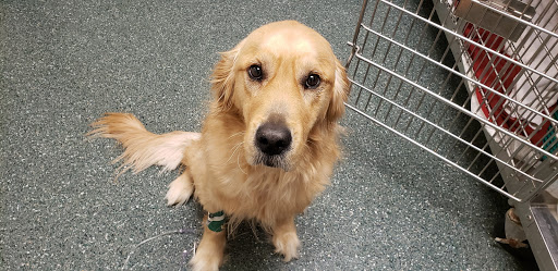 3692 E Pontaluna Rd, Fruitport, MI 49415, USA