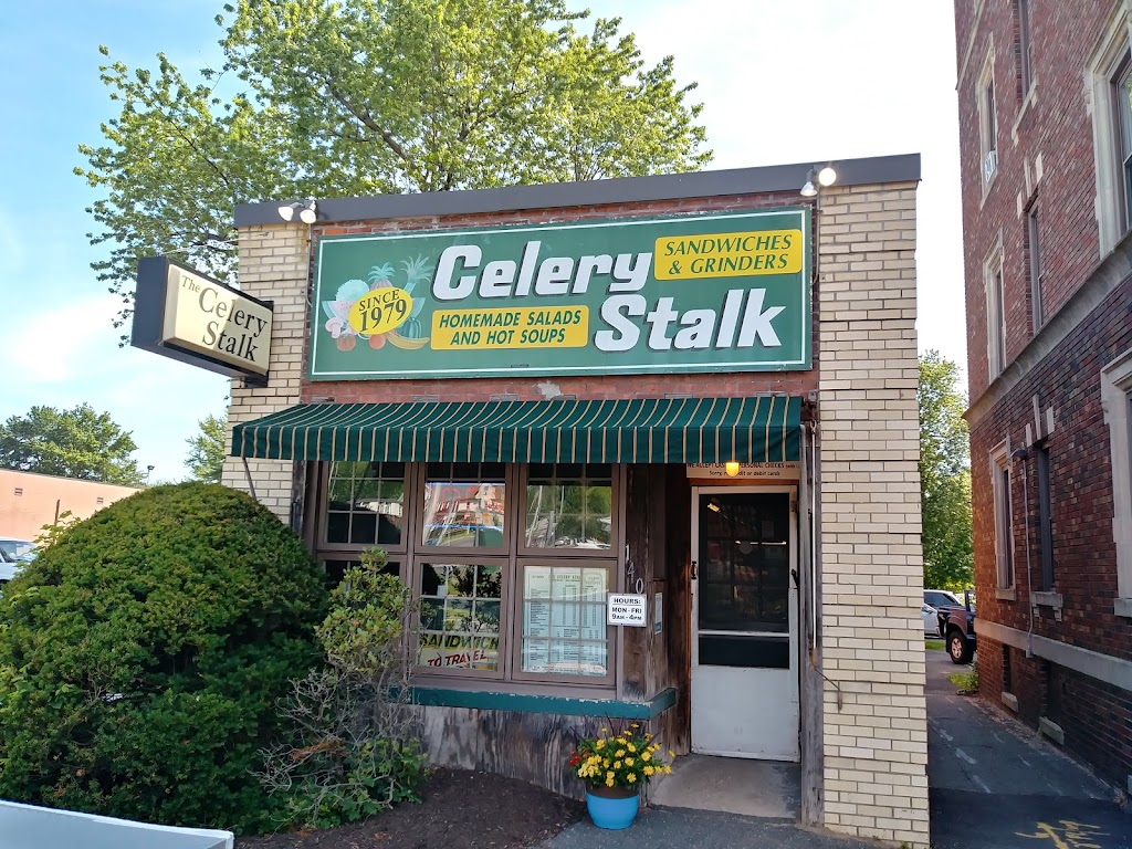 Celery Stalk 01089