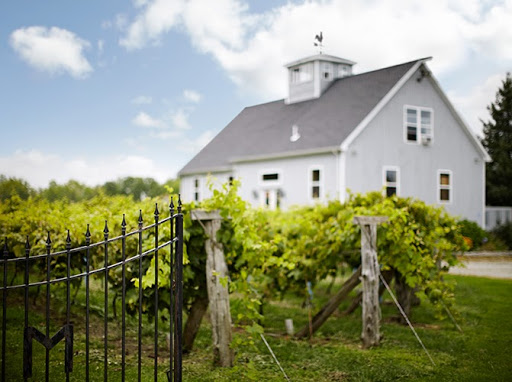 Vineyard «Miranda Vineyard», reviews and photos, 42 Ives Rd, Goshen, CT 06756, USA