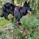 Photo n°1 de l'avis de Steffi.u fait le 16/09/2022 à 09:28 sur le  Pension Sonnleitn in Bavarian Forest, Zwiesel à Zwiesel