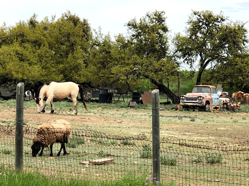 Pony Ride Service «The Farmyard», reviews and photos, 30250 Leroy Scheel Rd, Bulverde, TX 78163, USA