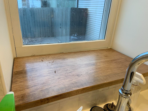 House Cleaning Service «Molly Maid», reviews and photos, 3690 W Clay St, St Charles, MO 63301, USA