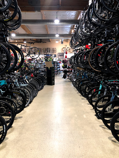 Bicycle Store «Performance Cyclery», reviews and photos, 23360 Cinema Dr, Valencia, CA 91355, USA