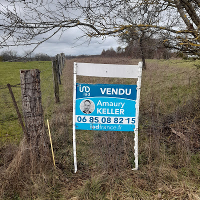 Amaury KELLER Conseiller en immobilier IADFRANCE à Damas-et-Bettegney