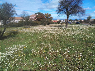Point.P - Saint-Thibéry à Saint-Thibéry