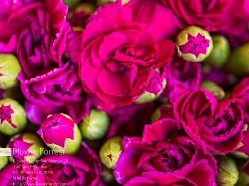 Florist «Flower Forrest», reviews and photos, 7101 San Pedro Ave, San Antonio, TX 78216, USA