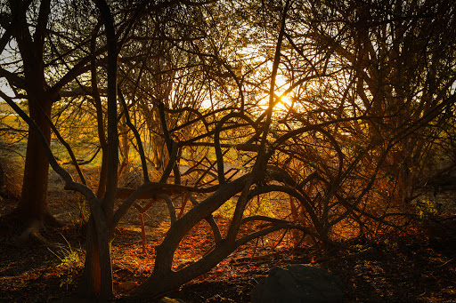 Nature Preserve «Peter and Mary Muth Interpretive Center», reviews and photos, 2301 University Dr, Newport Beach, CA 92660, USA