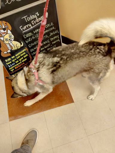 Pet Supply Store «PetSmart», reviews and photos, 1321 W Craig Rd, North Las Vegas, NV 89032, USA