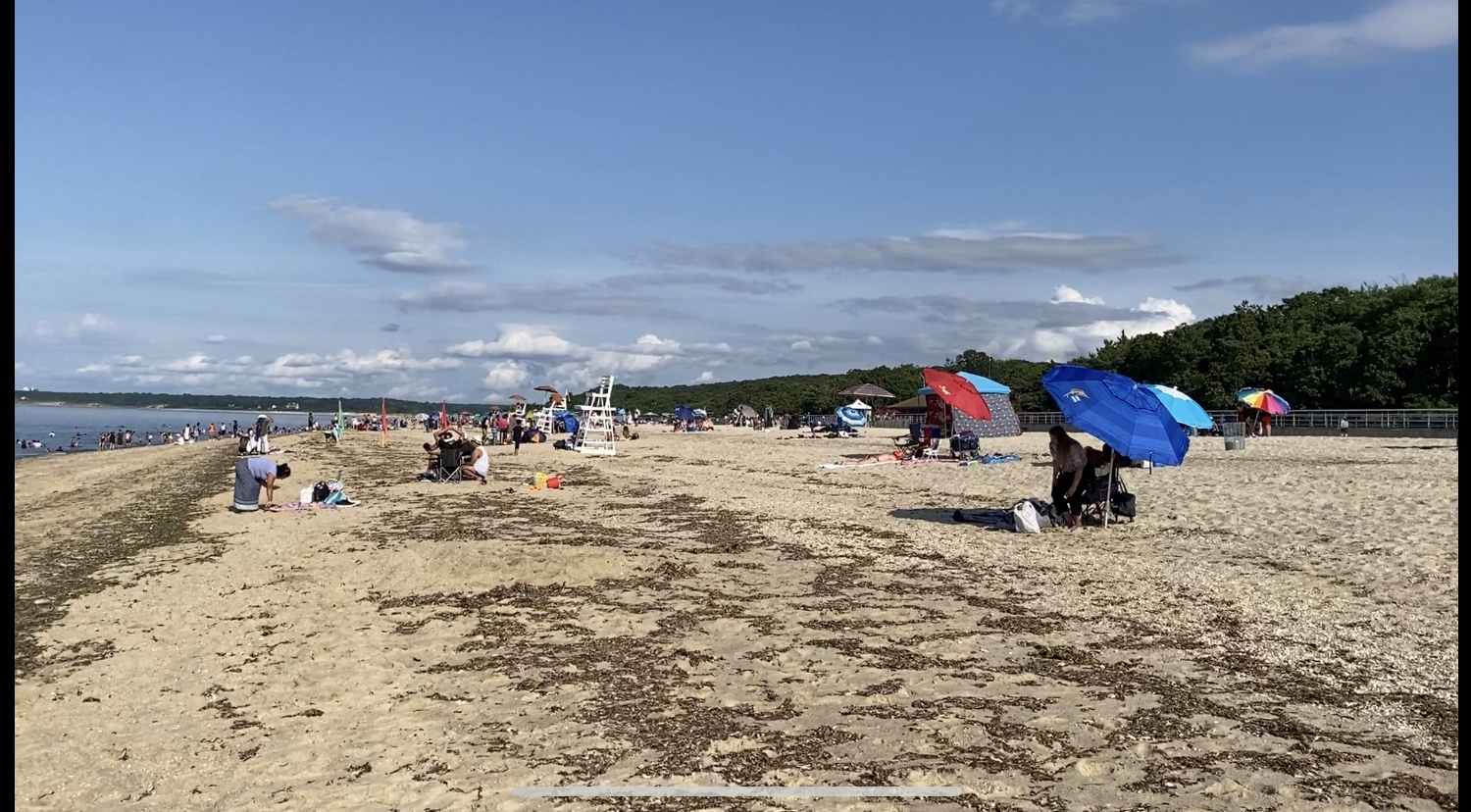 Callahans Beach的照片 带有宽敞的海岸