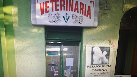 VETERINARIA CALLE ANTOFAGASTA