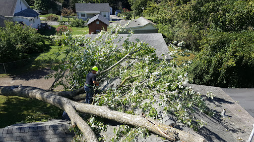 Car Repair and Maintenance «Midas», reviews and photos, 457 Southland Dr, Lexington, KY 40503, USA