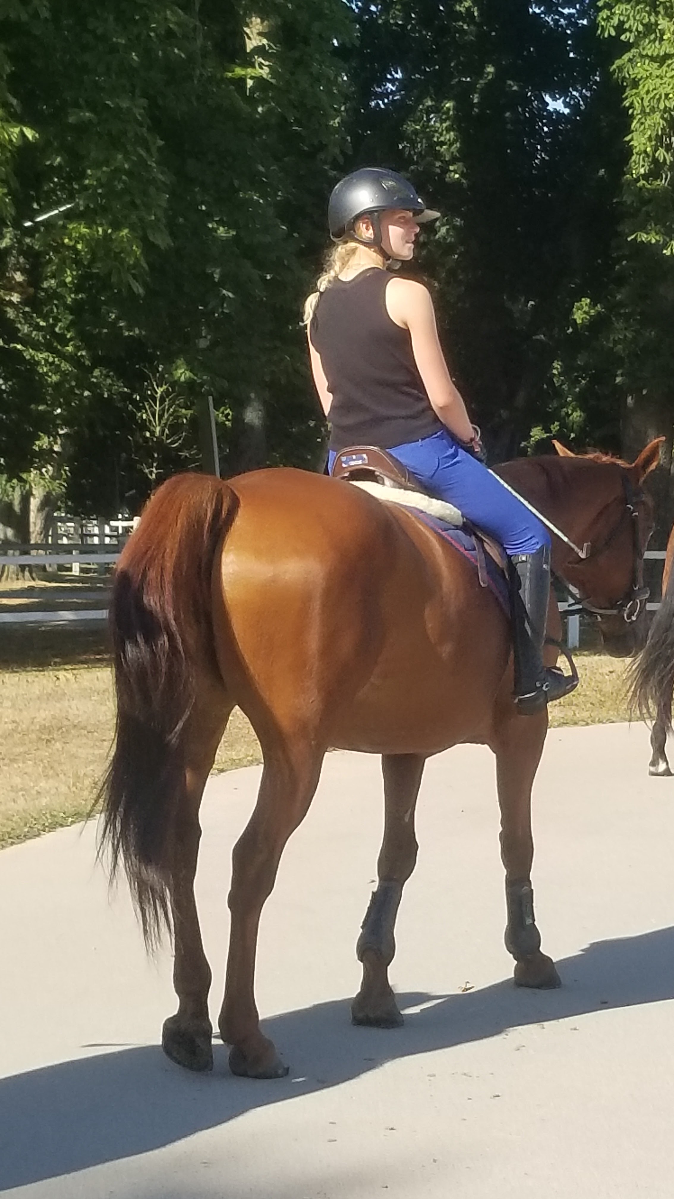 Photo n° 2 de l'avis de A.' fait le 17/07/2022 à 15:05