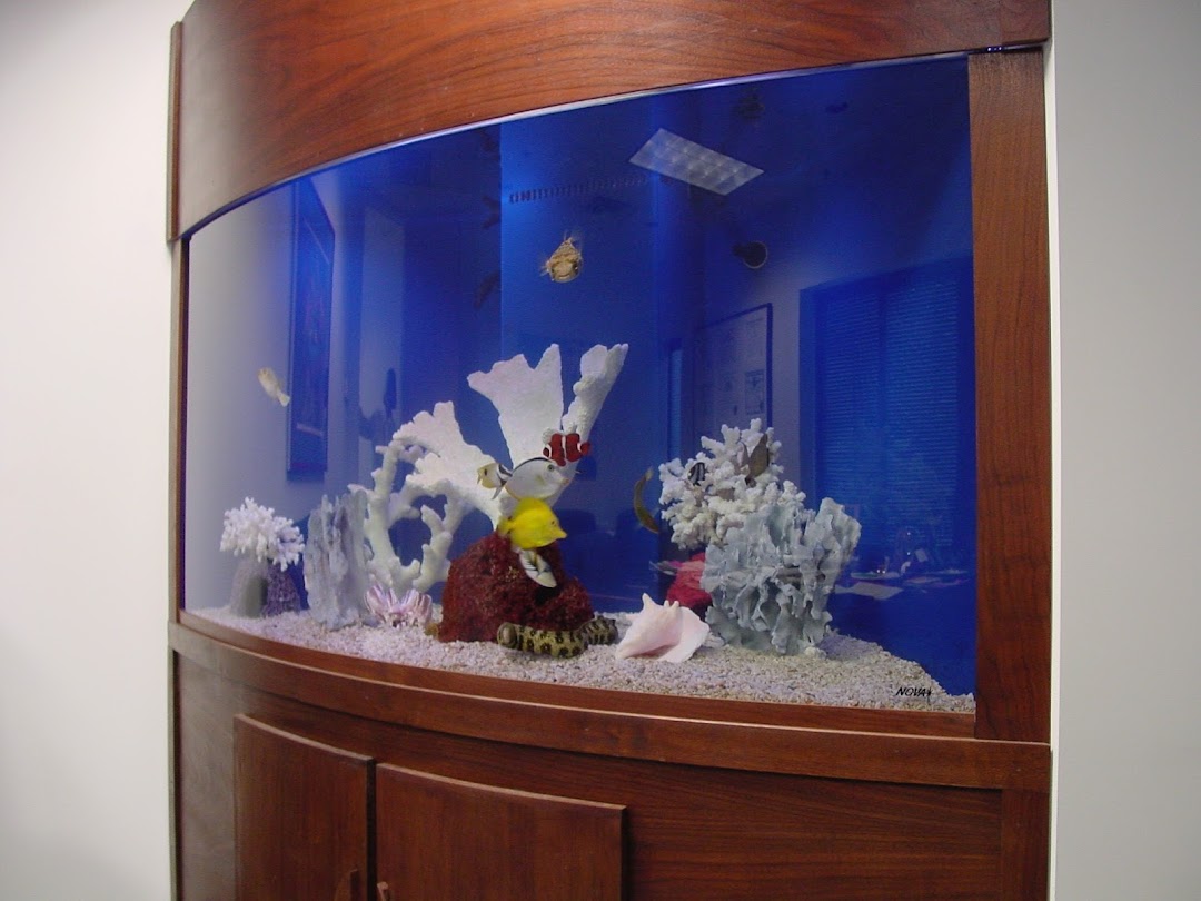 Aquarium Maintenance Service