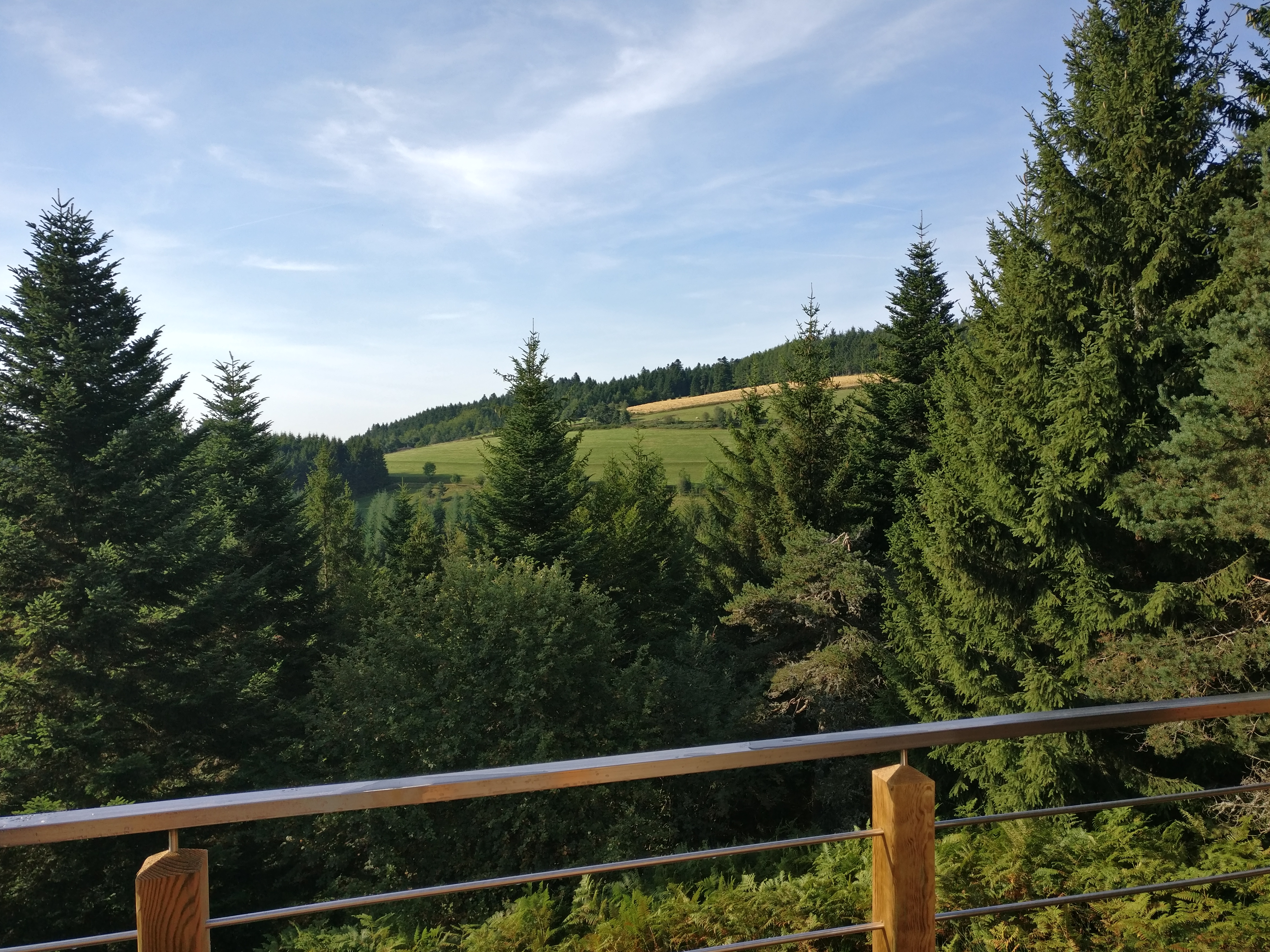 Photo n° 2 de l'avis de jean.a fait le 16/08/2017 à 15:35