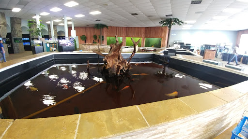 Aquarium «Aquarium World», reviews and photos, 13157 Northwest Fwy, Houston, TX 77040, USA