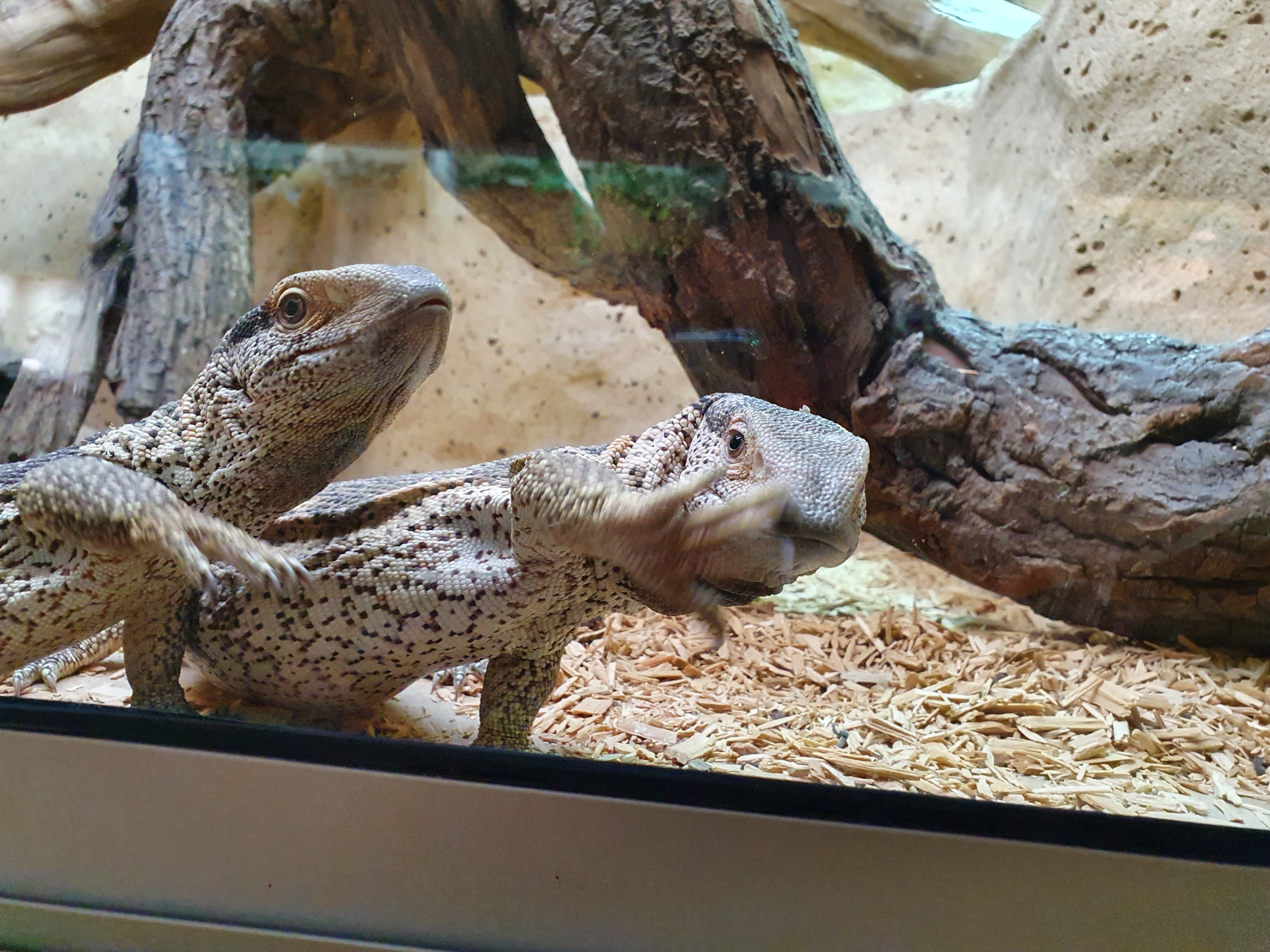 Photo n° 2 de l'avis de ROIJEINARO. fait le 17/04/2022 à 18:20