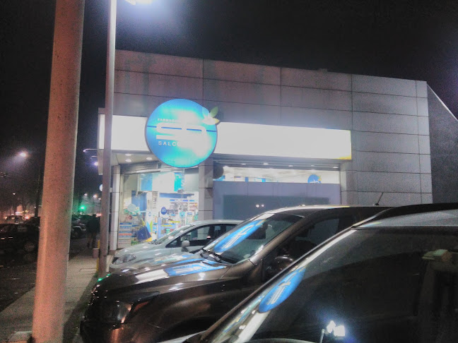 Francisco Ramírez, Argentina N°, 1 Esquina, Chillán, Ñuble