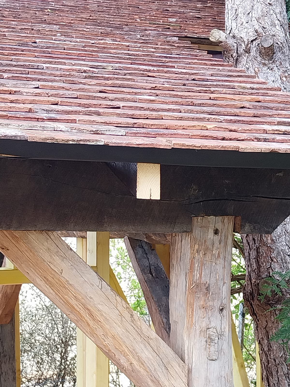 Photo n° 8 de l'avis de Pierre-Yves.O fait le 25/04/2023 à 12:17