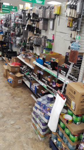 Dollar Store «Dollar Tree», reviews and photos, 352 Central Ave, East Orange, NJ 07018, USA