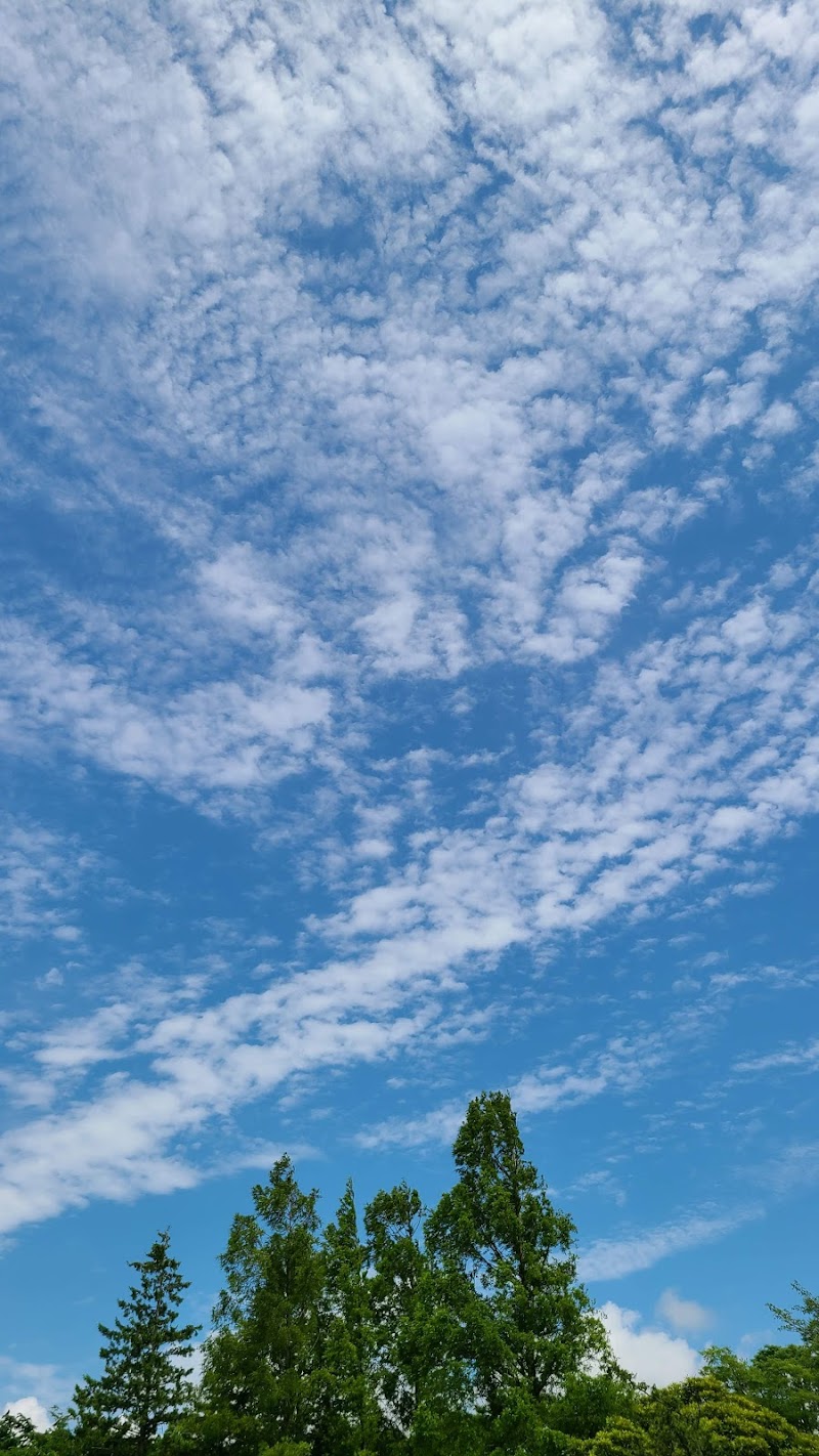 桜台中央公園