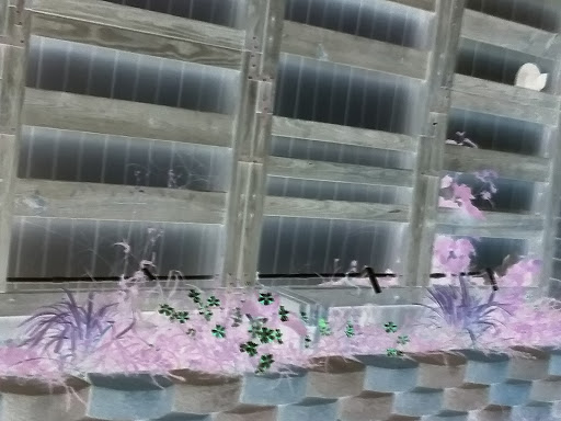 Bakery «Spring Garden Bakery & Coffee», reviews and photos, 1932 Spring Garden St, Greensboro, NC 27403, USA