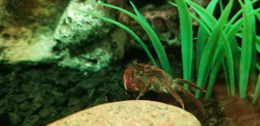 Pet Supply Store «Petco Animal Supplies», reviews and photos, 10383 Reisterstown Rd, Owings Mills, MD 21117, USA