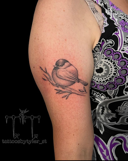 Explore cubs tattoo ideas, creative tattoo ideas in Kingston, available at Seventh Trumpet Tattoos