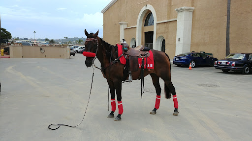 Fairground «Del Mar Fairgrounds», reviews and photos, 2260 Jimmy Durante Blvd, Del Mar, CA 92014, USA