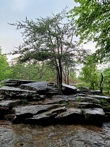 Tourist Attraction «Ozone Falls», reviews and photos, 14563 TN-1, Rockwood, TN 37854, USA