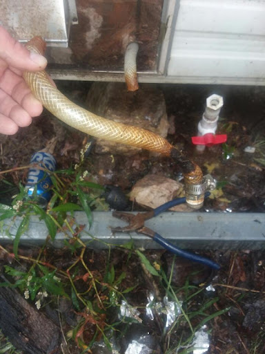 Hardware Store «Westlake Ace Hardware 100», reviews and photos, 2300 S Springfield Ave, Bolivar, MO 65613, USA