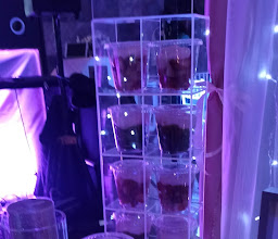 Salón Villagrand Constituyentes photo