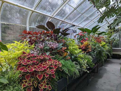 Park «Volunteer Park», reviews and photos, 1247 15th Ave E, Seattle, WA 98112, USA