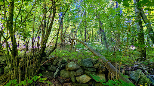 Mt Pisgah Bennett Trail Parking