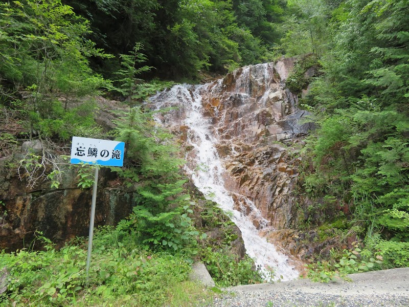 忘鱗の滝