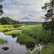 Bare Cove Park