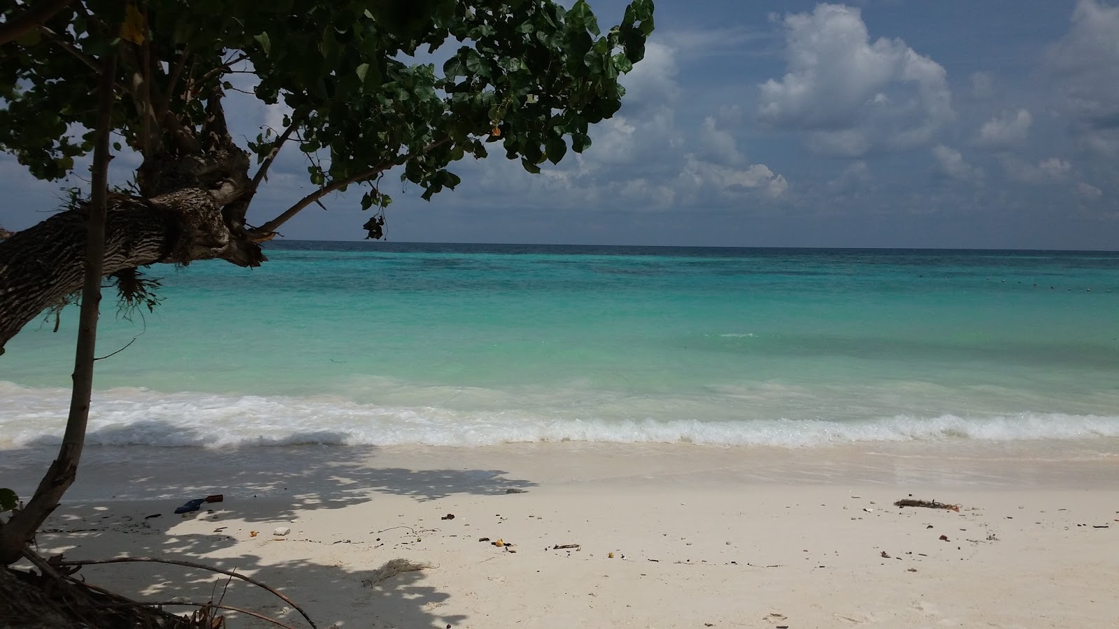 Foto de Punte Malaka Beach localizado em área natural
