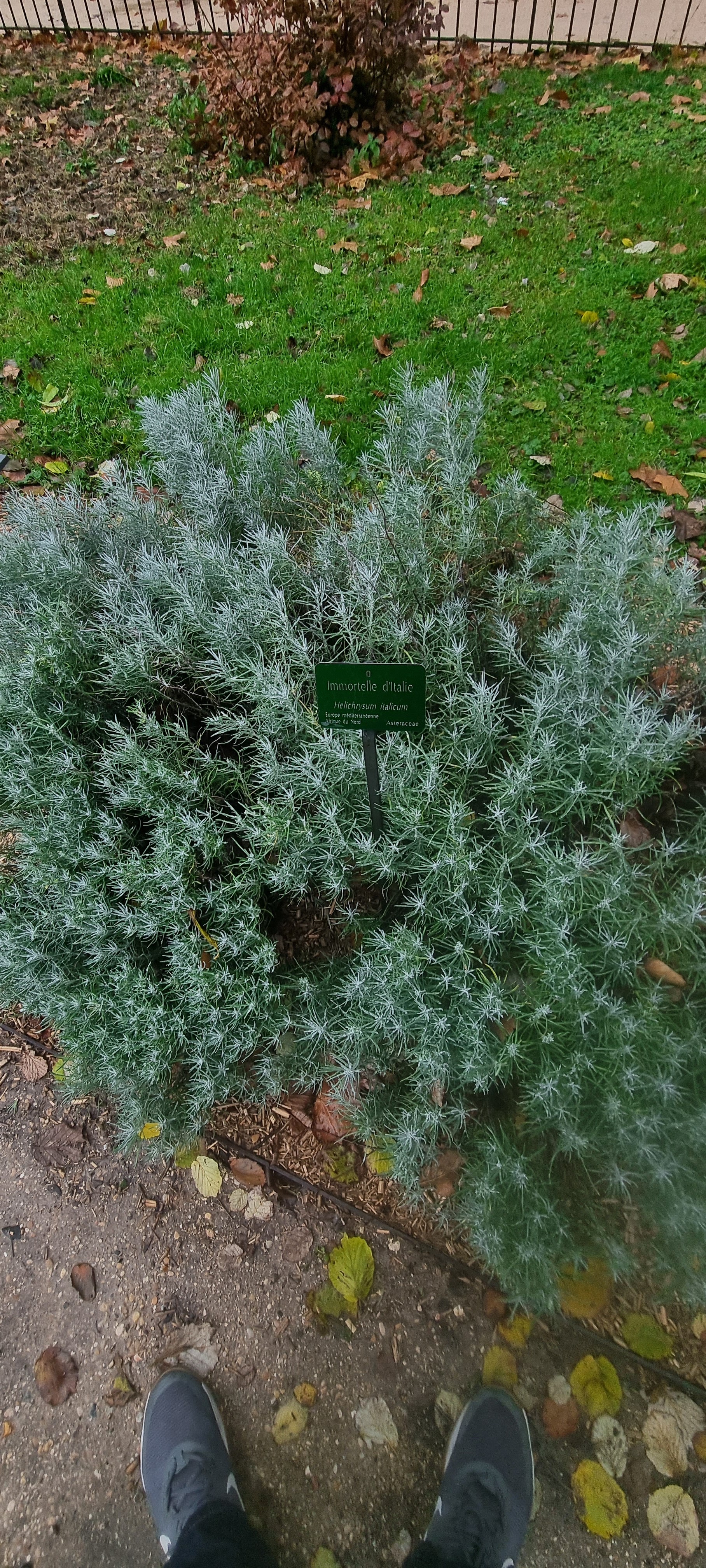 Photo n° 12 de l'avis de ma.i fait le 11/12/2023 à 14:17