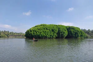 Kadalundi Mangroves Eco Tourism image