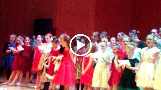 Performing Arts Theater «DeYor Performing Arts Center», reviews and photos, 260 W Federal St, Youngstown, OH 44503, USA