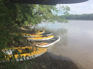 Sylvan Island - photo 29