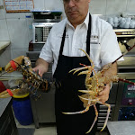 Photo n°1 de l'avis de Rudi.o fait le 16/11/2017 à 15:22 sur le  Estrela d'Ouro à Lisbon