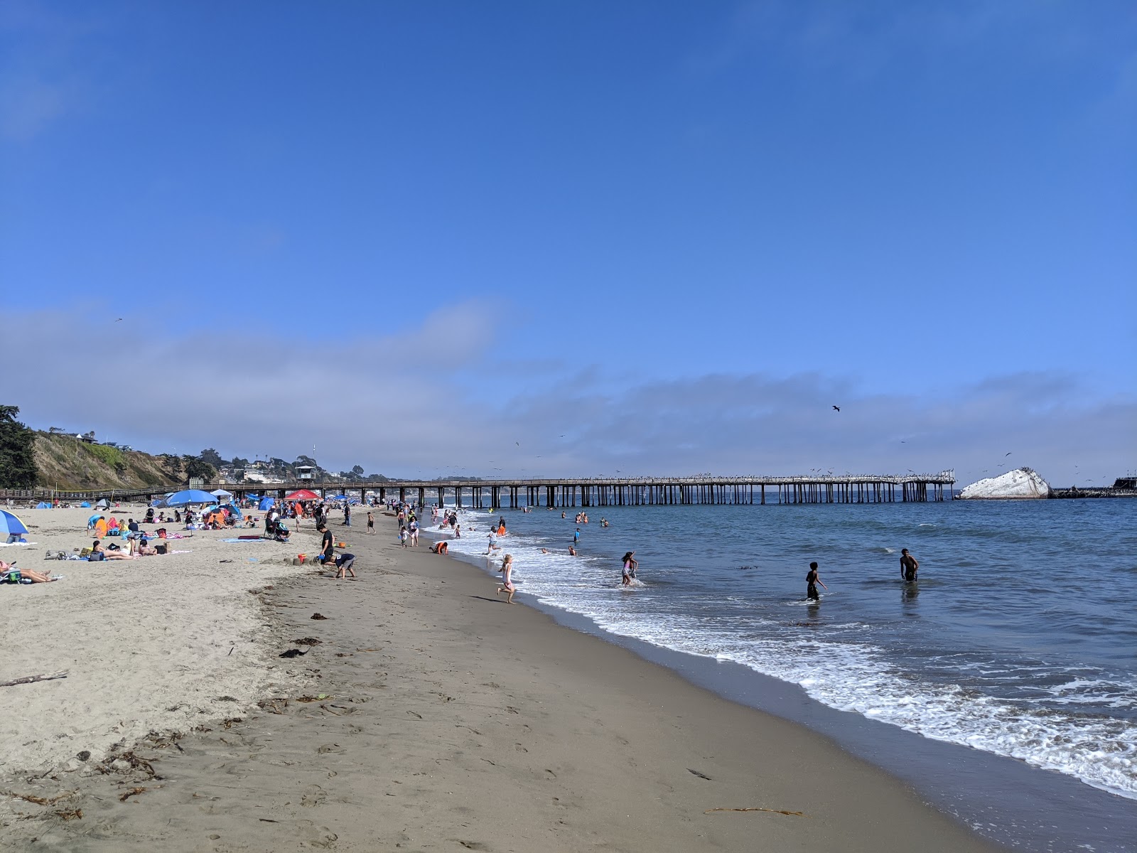 Foto af Seacliff Beach med høj niveau af renlighed