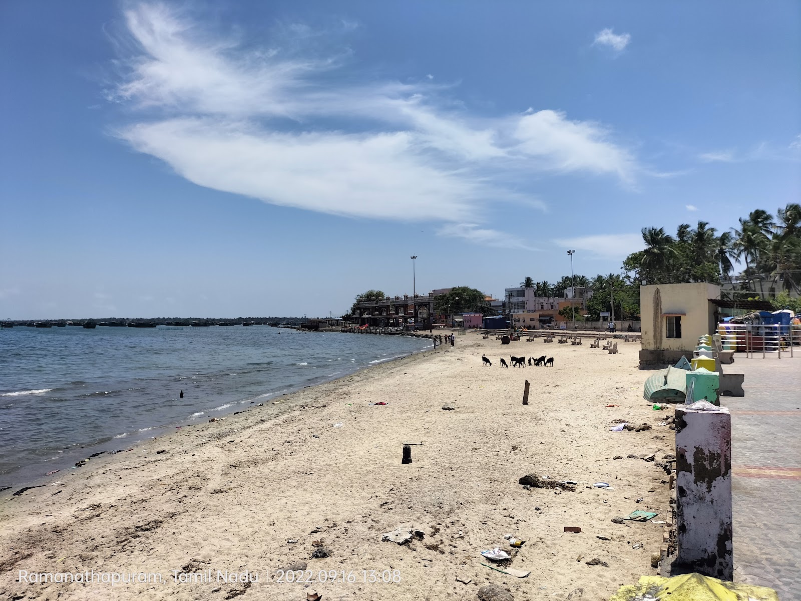 Rameshwaram Sea Shore Beach photo #8