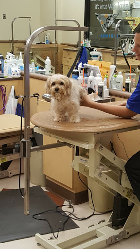 Pet Supply Store «PetSmart», reviews and photos, 1125 Quentin Rd, Lebanon, PA 17042, USA