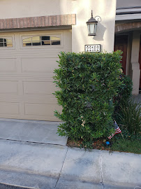 Nonstop Notary - Photo 7 - Car repair in Santa Clarita, CA, Santa Clarita