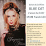 Photo du Salon de coiffure Blue Cat Coiffure à Francheville