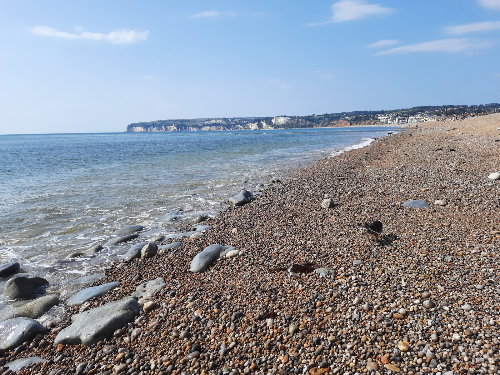 Haven Cliffs beach的照片 带有碧绿色纯水表面