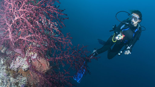 SCUBA Instructor «WOODS & WATER OUTDOOR SPORTS CENTER», reviews and photos, 124 Edwards Ave, Brandon, FL 33510, USA